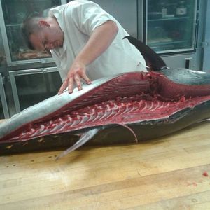 Meet your Posher, Jonathan